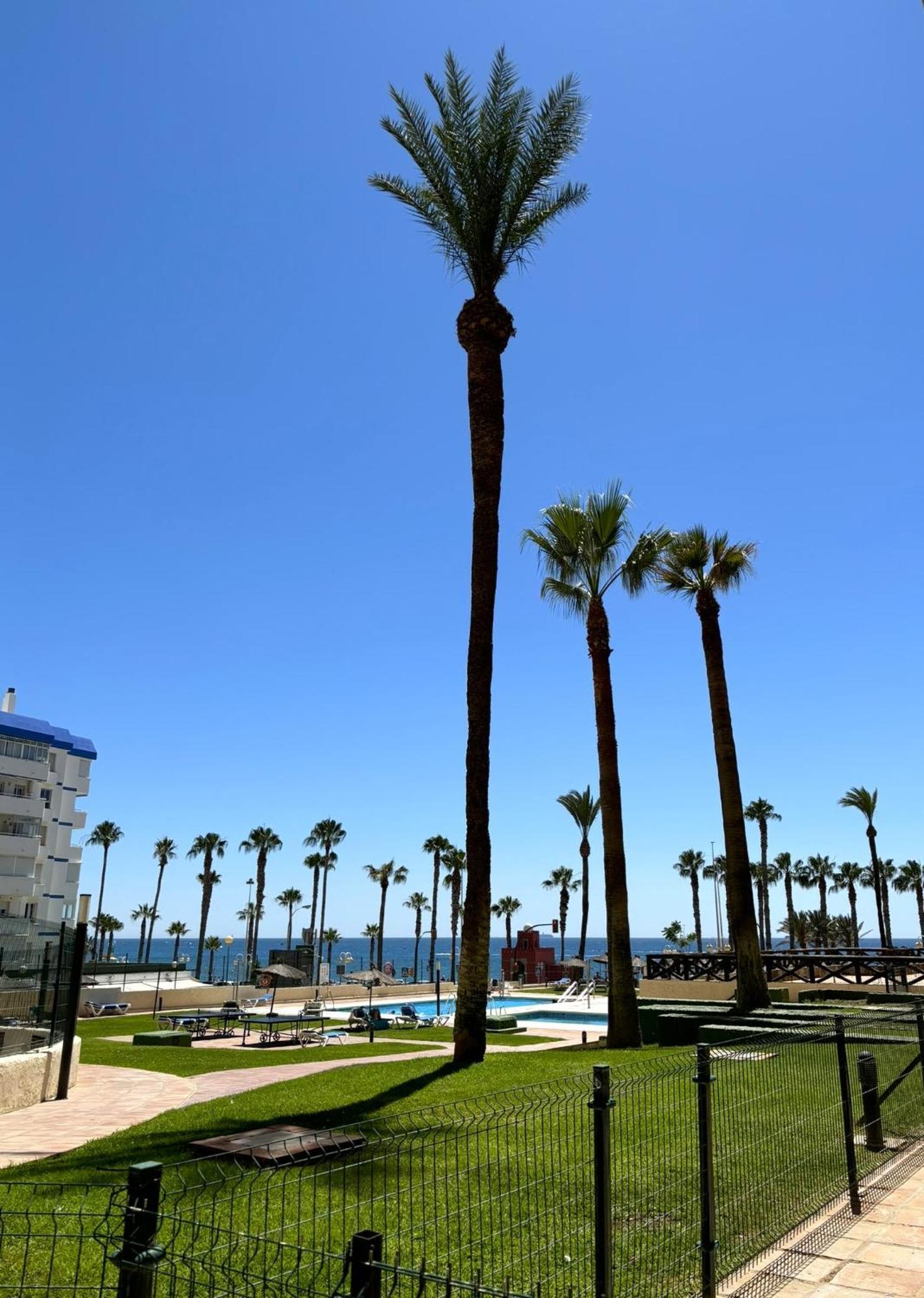 דירות בנאלמדנה Aloha Playa Vistas Al Mar מראה חיצוני תמונה